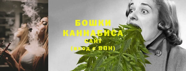 PSILOCYBIN Балахна