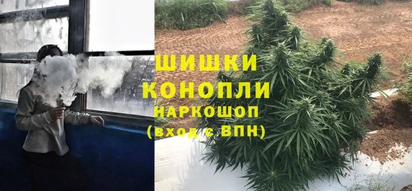 PSILOCYBIN Балахна