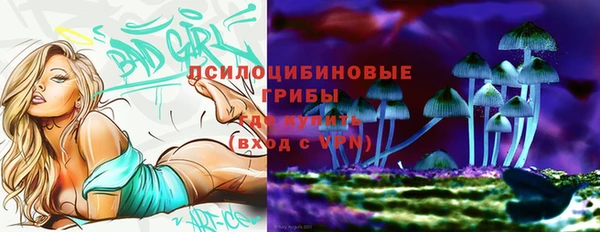 PSILOCYBIN Балахна