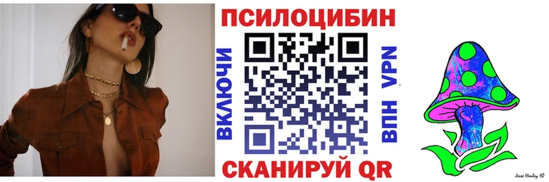 Псилоцибиновые грибы мицелий  Светлогорск 